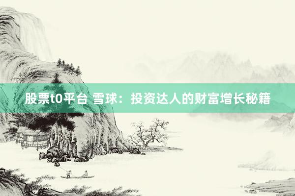 股票t0平台 雪球：投资达人的财富增长秘籍