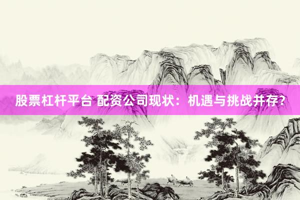 股票杠杆平台 配资公司现状：机遇与挑战并存？