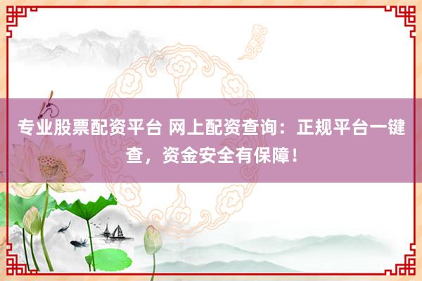 专业股票配资平台 网上配资查询：正规平台一键查，资金安全有保障！