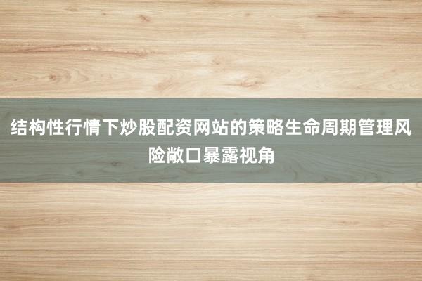 结构性行情下炒股配资网站的策略生命周期管理风险敞口暴露视角