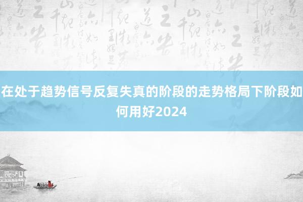 在处于趋势信号反复失真的阶段的走势格局下阶段如何用好2024