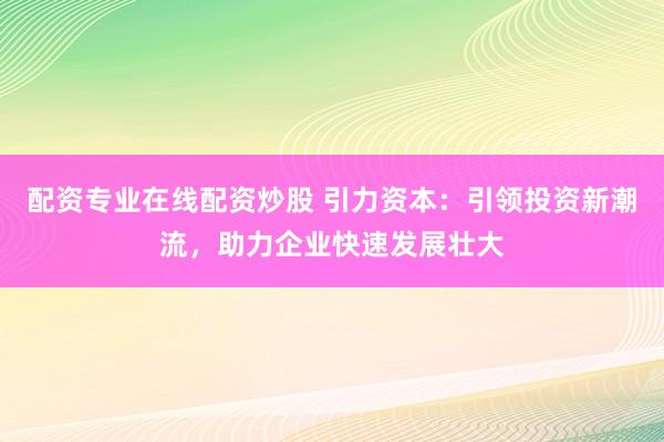配资专业在线配资炒股 引力资本：引领投资新潮流，助力企业快速发展壮大
