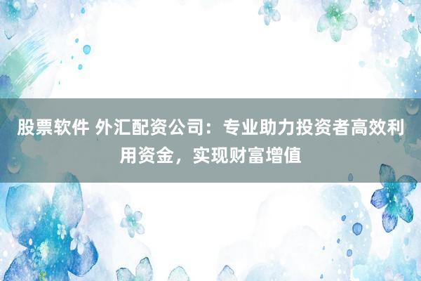 股票软件 外汇配资公司：专业助力投资者高效利用资金，实现财富增值