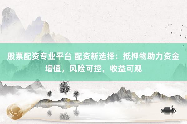 股票配资专业平台 配资新选择：抵押物助力资金增值，风险可控，收益可观