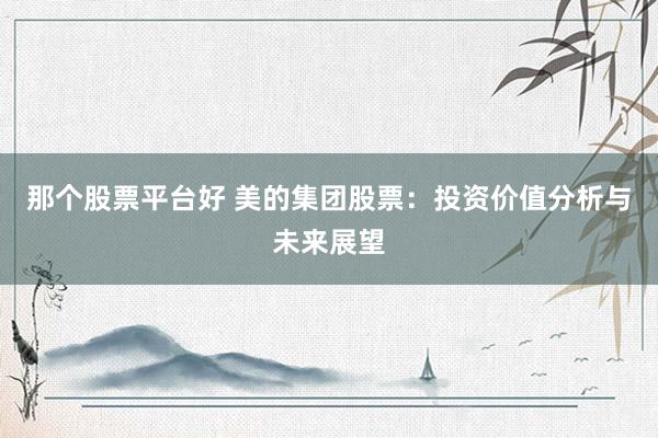 那个股票平台好 美的集团股票：投资价值分析与未来展望