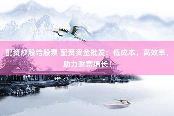 配资炒股给股票 配资资金批发：低成本，高效率，助力财富增长！